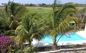T2 jardin clos Les Nids de la Colline